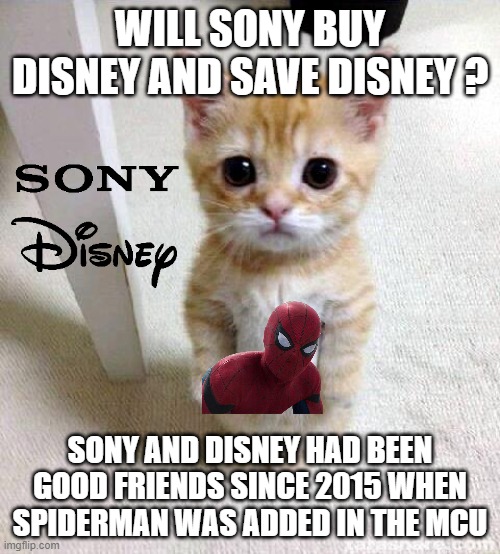 will sony buy disney and save them ? | WILL SONY BUY DISNEY AND SAVE DISNEY ? SONY AND DISNEY HAD BEEN GOOD FRIENDS SINCE 2015 WHEN SPIDERMAN WAS ADDED IN THE MCU | image tagged in memes,cute cat,sony,disney,spiderman,best friends | made w/ Imgflip meme maker