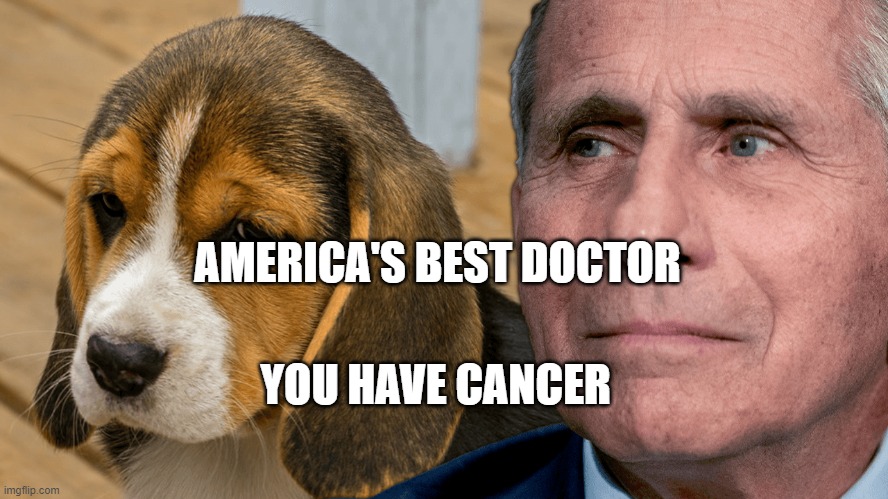 Fauci's Ouchie | AMERICA'S BEST DOCTOR; YOU HAVE CANCER | image tagged in fauci's ouchie | made w/ Imgflip meme maker