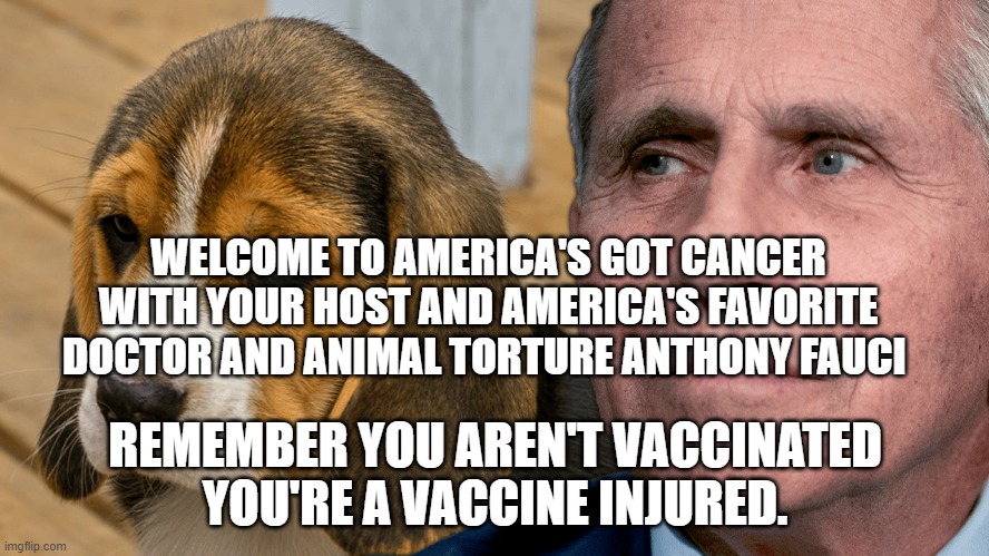 Fauci's Ouchie | WELCOME TO AMERICA'S GOT CANCER WITH YOUR HOST AND AMERICA'S FAVORITE DOCTOR AND ANIMAL TORTURE ANTHONY FAUCI; REMEMBER YOU AREN'T VACCINATED YOU'RE A VACCINE INJURED. | image tagged in fauci's ouchie | made w/ Imgflip meme maker