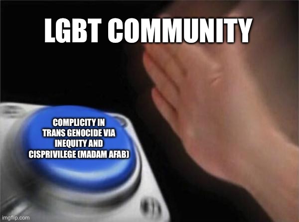 Blank Nut Button | LGBT COMMUNITY; COMPLICITY IN TRANS GENOCIDE VIA INEQUITY AND CISPRIVILEGE (MADAM AFAB) | image tagged in memes,blank nut button | made w/ Imgflip meme maker