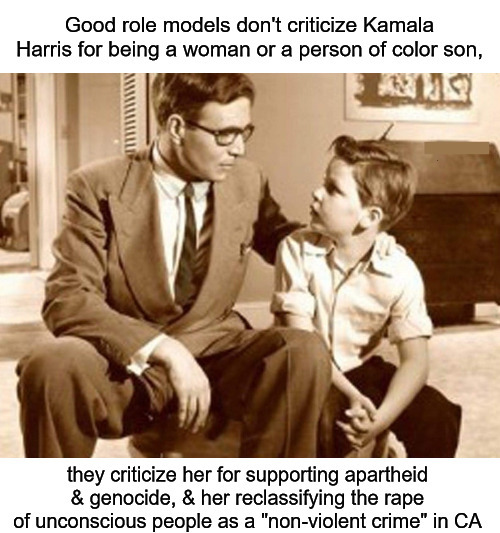 Facts | image tagged in kamala harris,palestine,free palestine | made w/ Imgflip meme maker