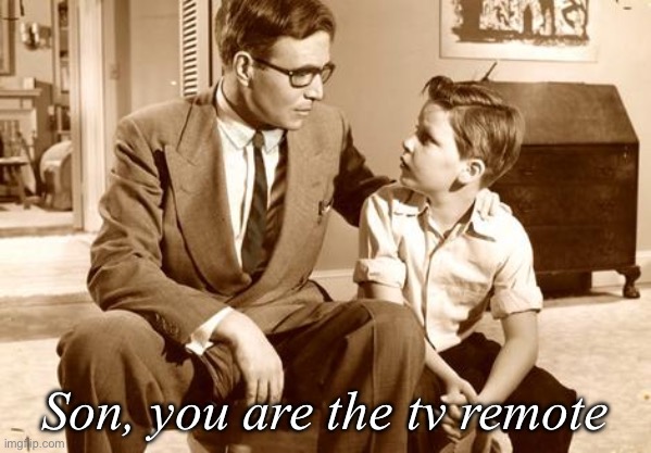 Father And Son Chat | Son, you are the tv remote | image tagged in father and son chat | made w/ Imgflip meme maker