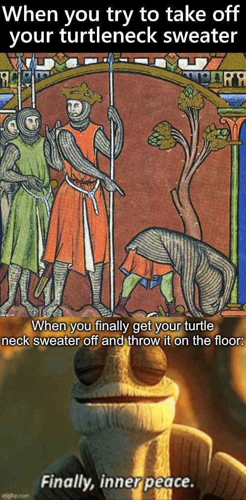 De-turtled | When you finally get your turtle neck sweater off and throw it on the floor: | image tagged in finally inner peace,turtle,sweater | made w/ Imgflip meme maker