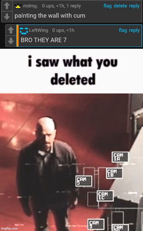 image tagged in i saw what you deleted | made w/ Imgflip meme maker