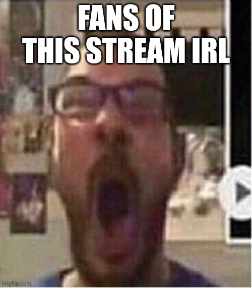 Shitty meme | FANS OF THIS STREAM IRL | image tagged in average fans | made w/ Imgflip meme maker