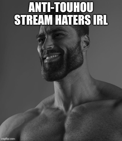 Giga Chad | ANTI-TOUHOU STREAM HATERS IRL | image tagged in giga chad | made w/ Imgflip meme maker