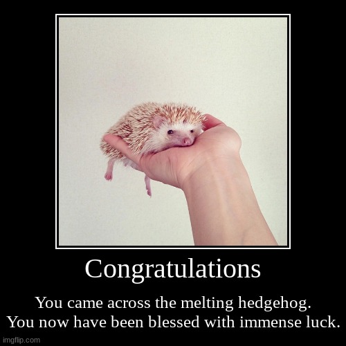 hedgy | Congratulations | You came across the melting hedgehog. You now have been blessed with immense luck. | image tagged in funny,demotivationals,hedgehog | made w/ Imgflip demotivational maker