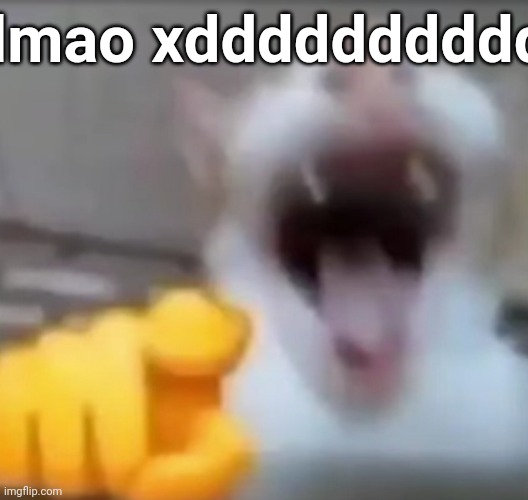 Cat pointing and laughing | lmao xddddddddddd | image tagged in cat pointing and laughing | made w/ Imgflip meme maker