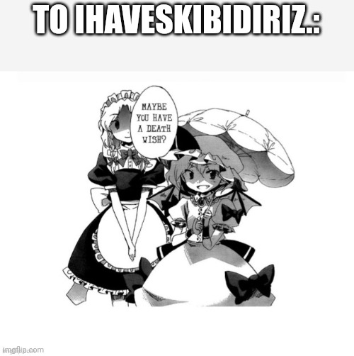 Touhou death wish | TO IHAVESKIBIDIRIZ.: | image tagged in touhou death wish | made w/ Imgflip meme maker