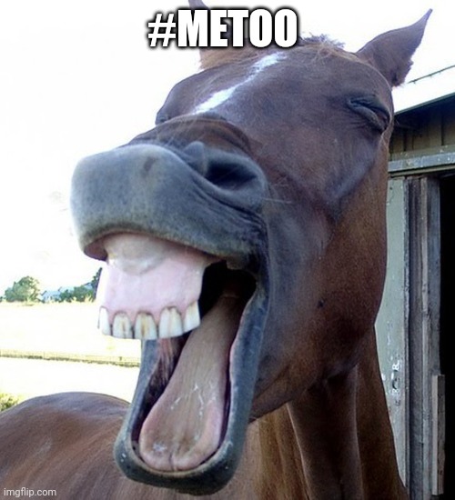 Funny Horse Face | #METOO | image tagged in funny horse face | made w/ Imgflip meme maker