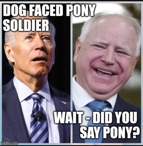 Biden Walz | image tagged in biden walz | made w/ Imgflip meme maker