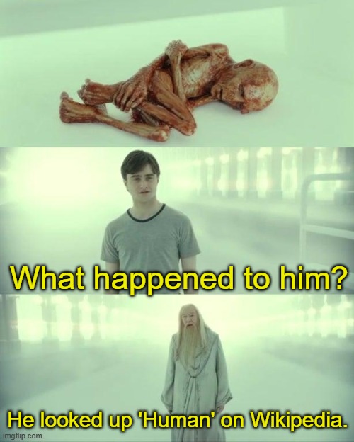 Dead Baby Voldemort / What Happened To Him | What happened to him? He looked up 'Human' on Wikipedia. | image tagged in dead baby voldemort / what happened to him | made w/ Imgflip meme maker