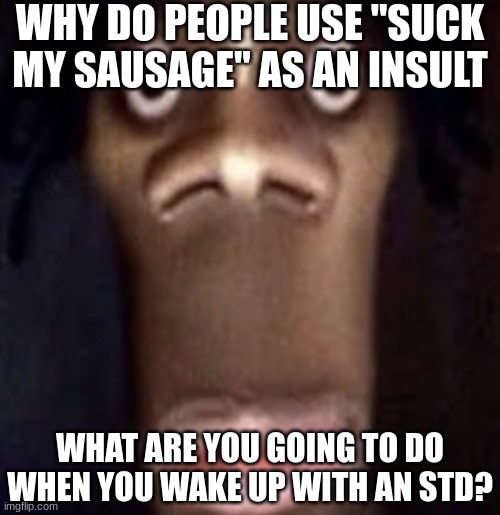 familiy friendly language because I hate being marked nsfw | WHY DO PEOPLE USE "SUCK MY SAUSAGE" AS AN INSULT; WHAT ARE YOU GOING TO DO WHEN YOU WAKE UP WITH AN STD? | image tagged in quandale dingle | made w/ Imgflip meme maker