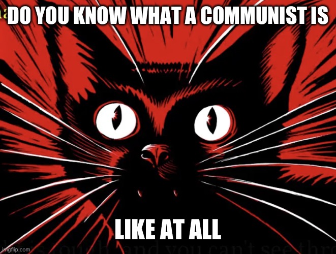 Sabo tabby | DO YOU KNOW WHAT A COMMUNIST IS LIKE AT ALL | image tagged in sabo tabby | made w/ Imgflip meme maker