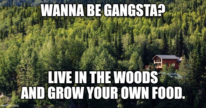 Gangsta life | WANNA BE GANGSTA? LIVE IN THE WOODS AND GROW YOUR OWN FOOD. | image tagged in homestead,off-grid,self-sufficient,autonomous | made w/ Imgflip meme maker