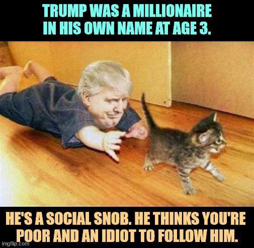 TRUMP WAS A MILLIONAIRE IN HIS OWN NAME AT AGE 3. HE'S A SOCIAL SNOB. HE THINKS YOU'RE 
POOR AND AN IDIOT TO FOLLOW HIM. | image tagged in trump,snob,money,millionaire,idiot | made w/ Imgflip meme maker