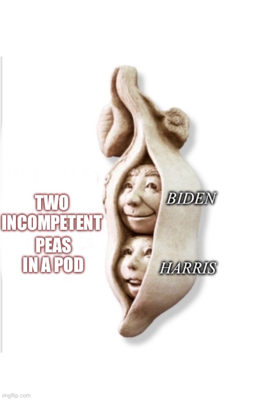 TWO 
INCOMPETENT; PEAS
IN A POD | made w/ Imgflip meme maker