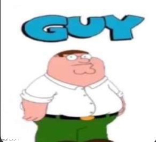 guy | image tagged in guy | made w/ Imgflip meme maker