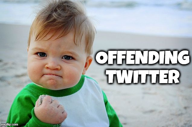 Success Kid / Nailed It Kid | OFFENDING TWITTER | image tagged in success kid / nailed it kid | made w/ Imgflip meme maker