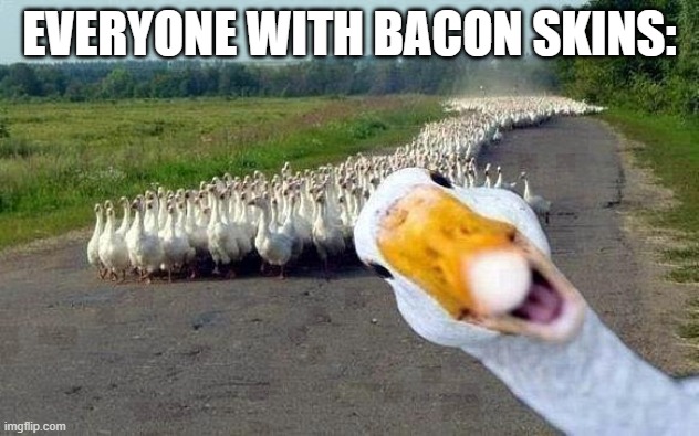 bacons: | EVERYONE WITH BACON SKINS: | image tagged in goose | made w/ Imgflip meme maker