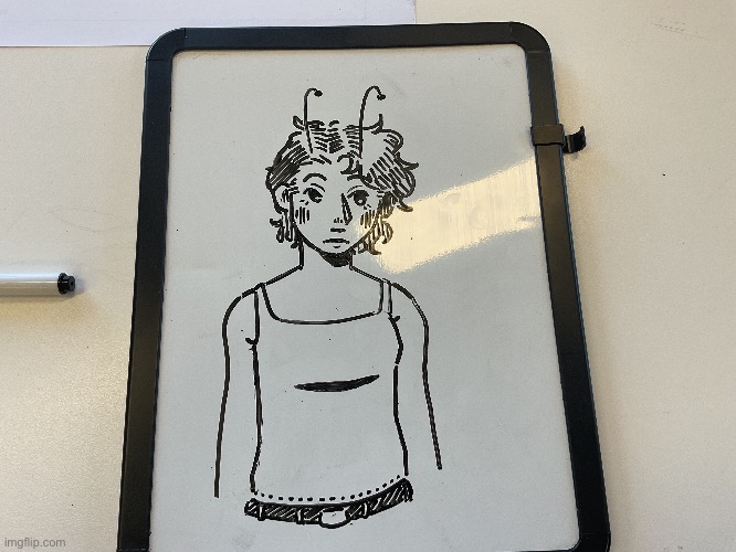 Woa, drawing with a whiteboard in class | made w/ Imgflip meme maker