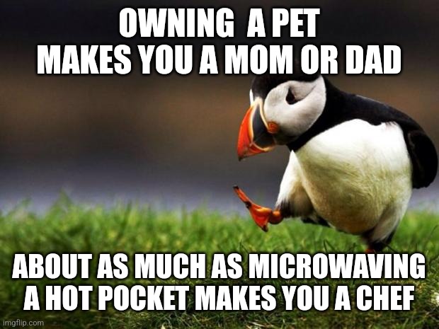 You aren't a "mom" or "dad'" to your pet | OWNING  A PET MAKES YOU A MOM OR DAD; ABOUT AS MUCH AS MICROWAVING A HOT POCKET MAKES YOU A CHEF | image tagged in memes,unpopular opinion puffin,animals,pets | made w/ Imgflip meme maker