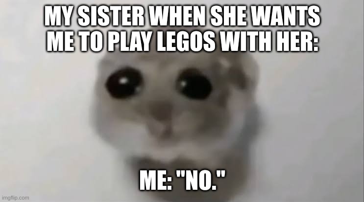 Sisters | MY SISTER WHEN SHE WANTS ME TO PLAY LEGOS WITH HER:; ME: "NO." | image tagged in sad hamster,certified bruh moment | made w/ Imgflip meme maker