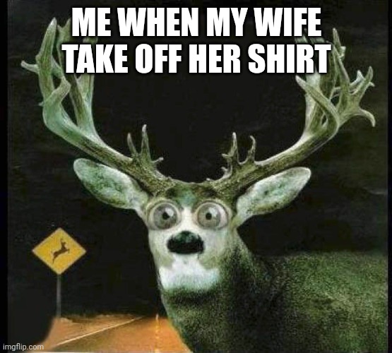 DEER IN THE HEADLIGHTS | ME WHEN MY WIFE TAKE OFF HER SHIRT | image tagged in deer in the headlights | made w/ Imgflip meme maker