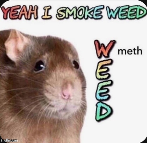 W(meth)eed | image tagged in yeah i smoke w meth eed | made w/ Imgflip meme maker