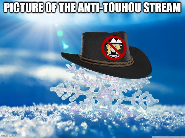 You are the snowflake for making these images | PICTURE OF THE ANTI-TOUHOU STREAM | image tagged in snowflake | made w/ Imgflip meme maker