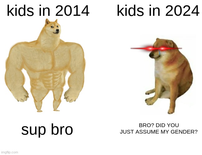 Buff Doge vs. Cheems Meme | kids in 2014; kids in 2024; sup bro; BRO? DID YOU JUST ASSUME MY GENDER? | image tagged in memes,buff doge vs cheems | made w/ Imgflip meme maker