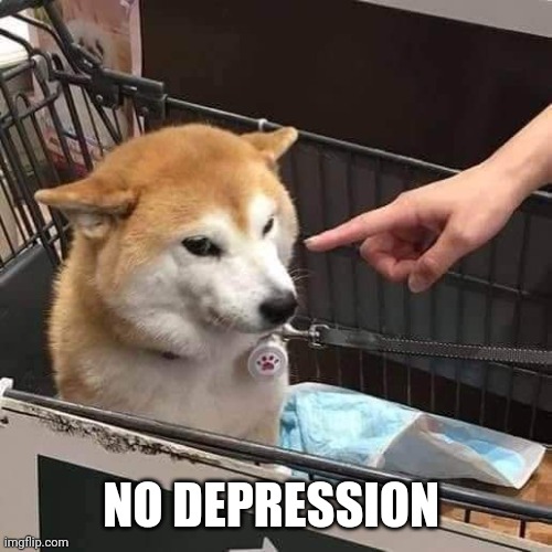 No horny | NO DEPRESSION | image tagged in no horny | made w/ Imgflip meme maker