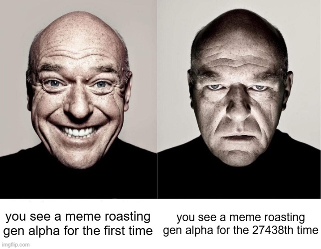 ok, yes it is funny to roast them, but it is already getting old (im being a hypocrite here) | you see a meme roasting gen alpha for the first time; you see a meme roasting gen alpha for the 27438th time | image tagged in breaking bad smile frown,memes | made w/ Imgflip meme maker