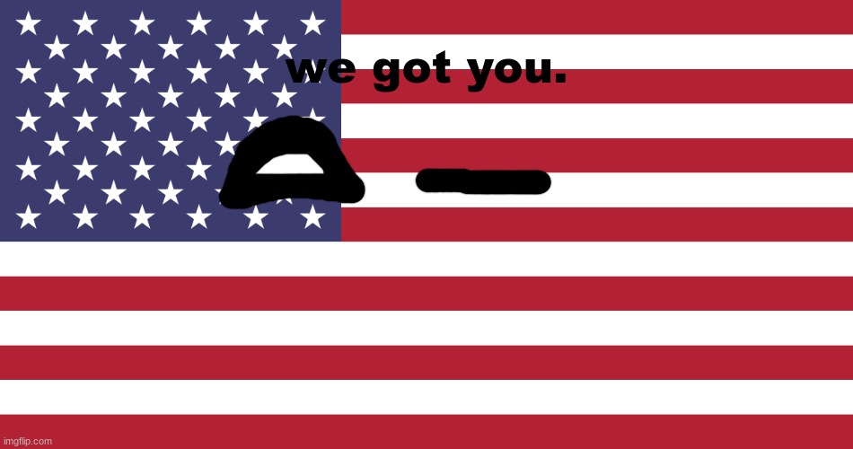 Flag of USA | we got you. | image tagged in flag of usa | made w/ Imgflip meme maker