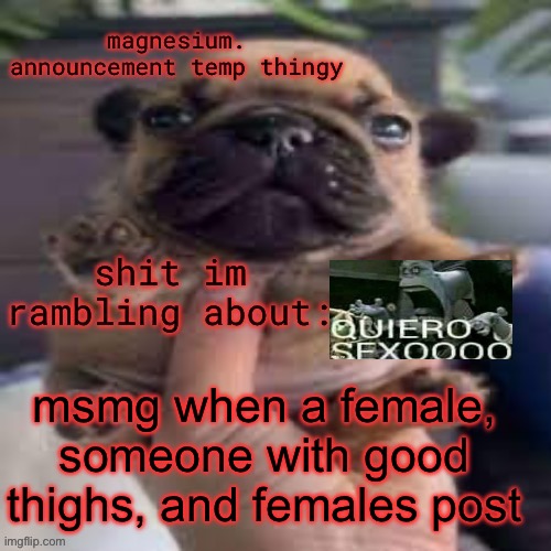 pug temp | msmg when a female, someone with good thighs, and females post | image tagged in pug temp | made w/ Imgflip meme maker