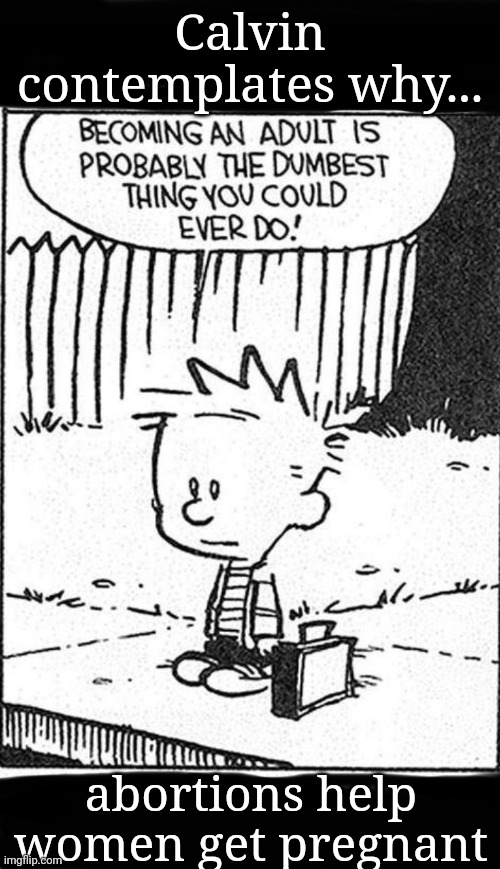 Must Be Confusing For Young People | Calvin contemplates why... abortions help women get pregnant | image tagged in calvin and hobbes,abortion,confused | made w/ Imgflip meme maker