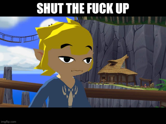 High Toon Link | SHUT THE FUCK UP | image tagged in high toon link | made w/ Imgflip meme maker