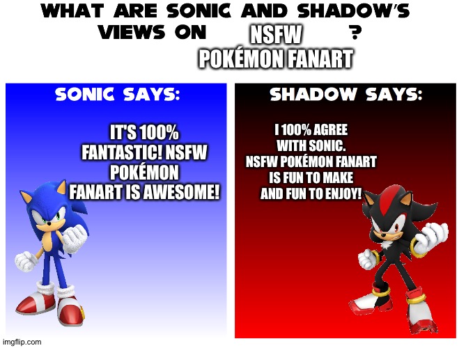 Even Sonic and Shadow love NSFW Pokémon fanart | NSFW POKÉMON FANART; IT'S 100% FANTASTIC! NSFW POKÉMON FANART IS AWESOME! I 100% AGREE WITH SONIC. NSFW POKÉMON FANART IS FUN TO MAKE AND FUN TO ENJOY! | image tagged in what are sonic and shadows views on | made w/ Imgflip meme maker