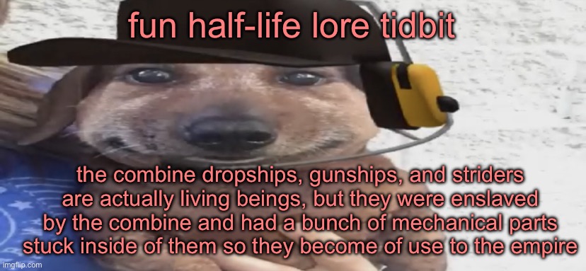 chucklenuts | fun half-life lore tidbit; the combine dropships, gunships, and striders are actually living beings, but they were enslaved by the combine and had a bunch of mechanical parts stuck inside of them so they become of use to the empire | image tagged in chucklenuts | made w/ Imgflip meme maker