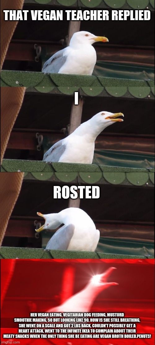 Inhaling Seagull | THAT VEGAN TEACHER REPLIED; I; ROSTED; HER VEGAN EATING, VEGITARIAN DOG FEEDING, MUSTURD SMOOTHIE MAKING, 50 BUT LOOKING LIKE 90, HOW IS SHE STILL BREATHING, SHE WENT ON A SCALE AND GOT 2 LBS BACK, COULDN'T POSSIBLY GET A HEART ATTACK, WENT TO THE INFINITE IKEA TO COMPLAIN ABOUT THEIR MEATY SNACKS WHEN THE ONLY THING SHE BE EATING ARE VEGAN BROTH BOILED.PENUTS! | image tagged in memes,inhaling seagull | made w/ Imgflip meme maker