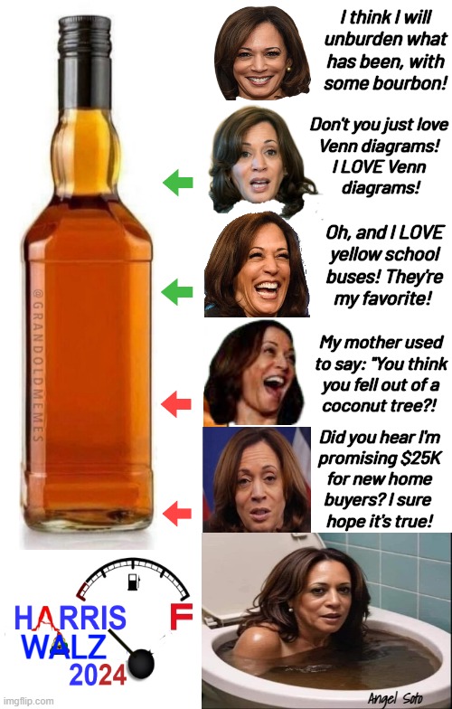 Kamala unburdens what has been with some bourbon | I think I will
unburden what
has been, with
some bourbon! Don't you just love
Venn diagrams!
I LOVE Venn
 diagrams! Oh, and I LOVE
yellow school
buses! They're
my favorite! My mother used
to say: "You think
you fell out of a
coconut tree?! Did you hear I'm
promising $25K
for new home
buyers? I sure 
hope it's true! WALZ; Angel Soto | image tagged in kamala harris,venn diagram,bourbon,school bus,presidential election,coconut tree | made w/ Imgflip meme maker