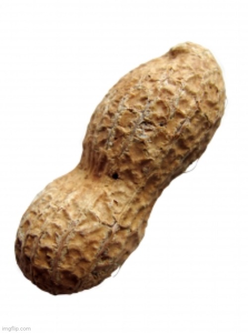 Nut reveal | image tagged in peanut | made w/ Imgflip meme maker