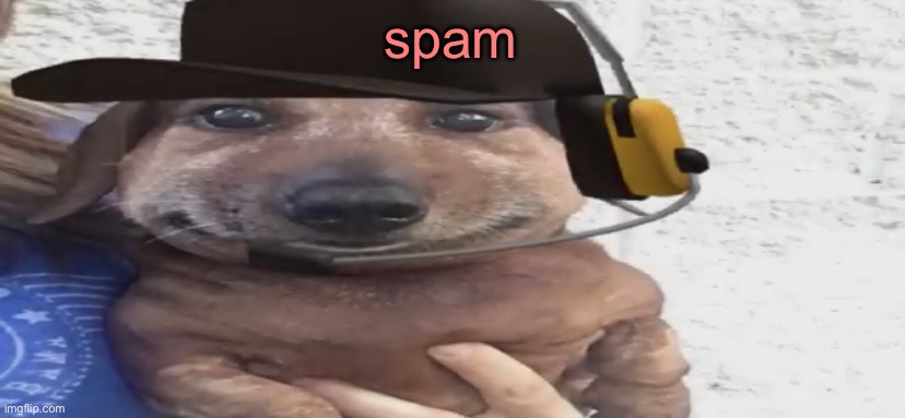 chucklenuts | spam | image tagged in chucklenuts | made w/ Imgflip meme maker