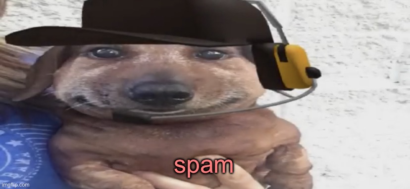 chucklenuts | spam | image tagged in chucklenuts | made w/ Imgflip meme maker