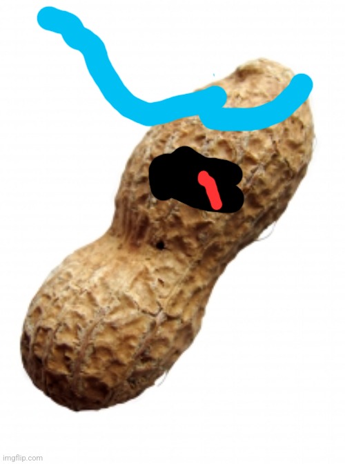 Peanut | image tagged in peanut | made w/ Imgflip meme maker