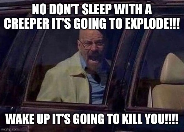 Walter White Screaming At Hank | NO DON’T SLEEP WITH A CREEPER IT’S GOING TO EXPLODE!!! WAKE UP IT’S GOING TO KILL YOU!!!! | image tagged in walter white screaming at hank | made w/ Imgflip meme maker