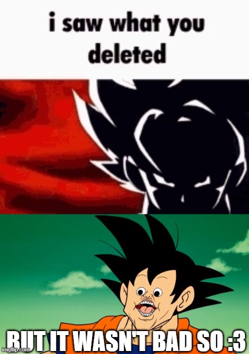 BUT IT WASN'T BAD SO :3 | image tagged in i saw what you deleted,derpy interest goku | made w/ Imgflip meme maker