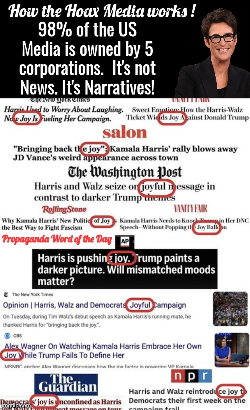 Madcow brainwashing minions with Joy | How the Hoax Media works ! 98% of the US Media is owned by 5 corporations.  It's not News. It's Narratives! Propaganda Word of the Day | image tagged in black box,rachel maddow,brainwashing | made w/ Imgflip meme maker