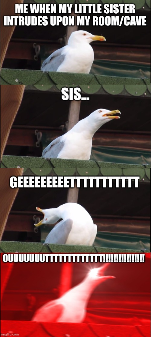 OUT. | ME WHEN MY LITTLE SISTER INTRUDES UPON MY ROOM/CAVE; SIS... GEEEEEEEEETTTTTTTTTTT; OUUUUUUUTTTTTTTTTTTTT!!!!!!!!!!!!!!!! | image tagged in memes,inhaling seagull | made w/ Imgflip meme maker