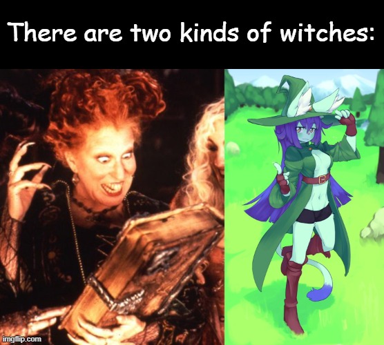 There are two kinds of witches: | image tagged in winifred book | made w/ Imgflip meme maker